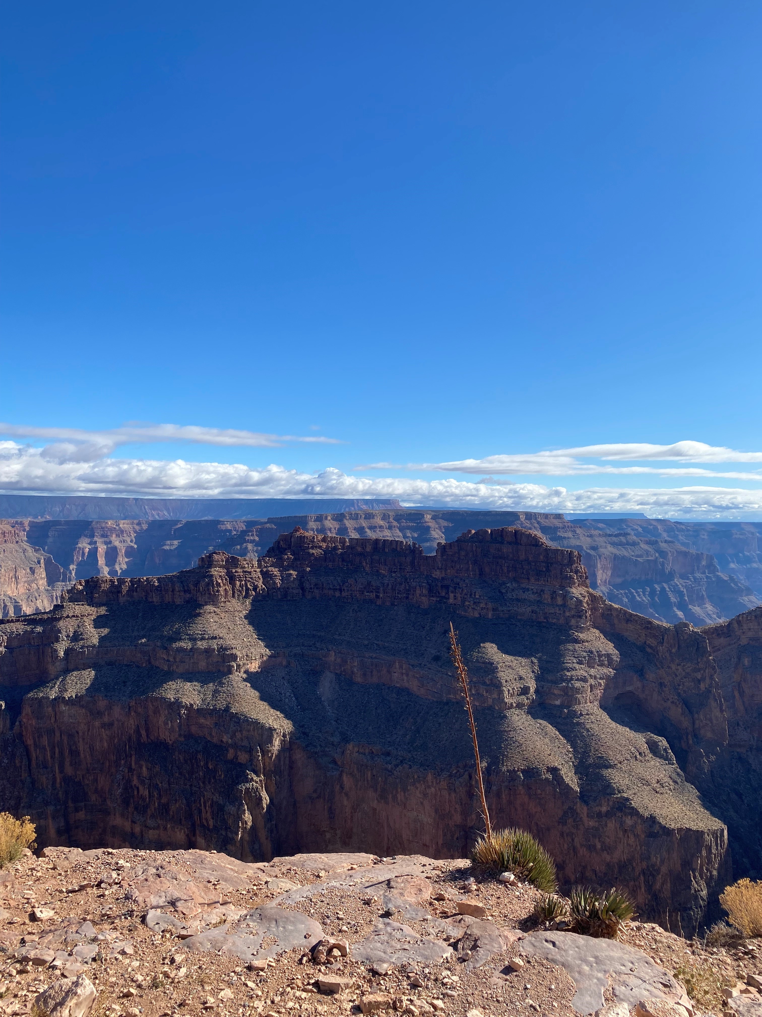 Grand Canyon view